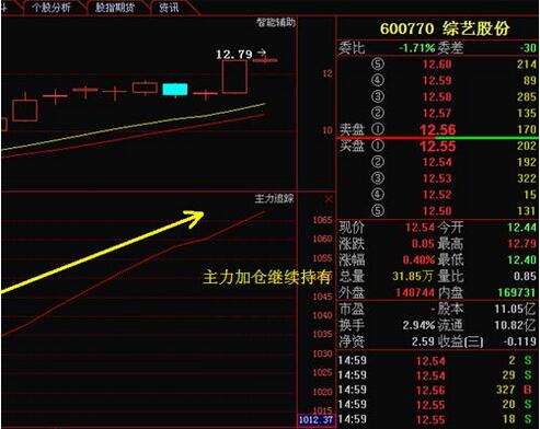 綜藝股份.jpg