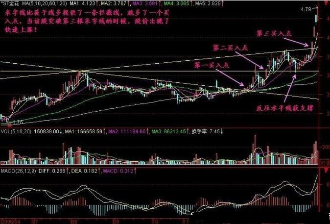 ST金花.jpg