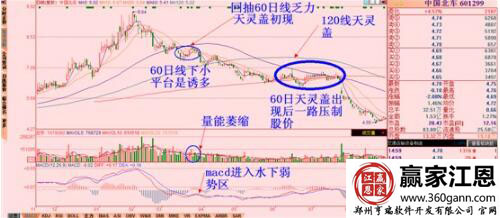 天靈蓋.jpg