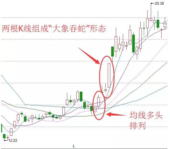 大象吞蛇形態.jpg