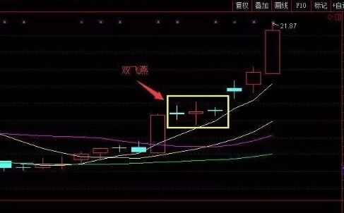 雙飛燕形態.jpg