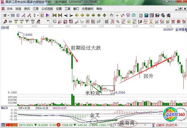 金洲慈航.jpg