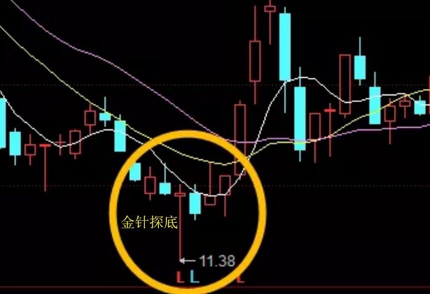 金針探底.jpg