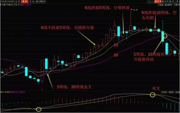 桂東電力.jpg
