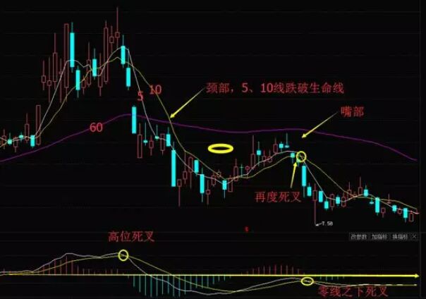 金新農.jpg