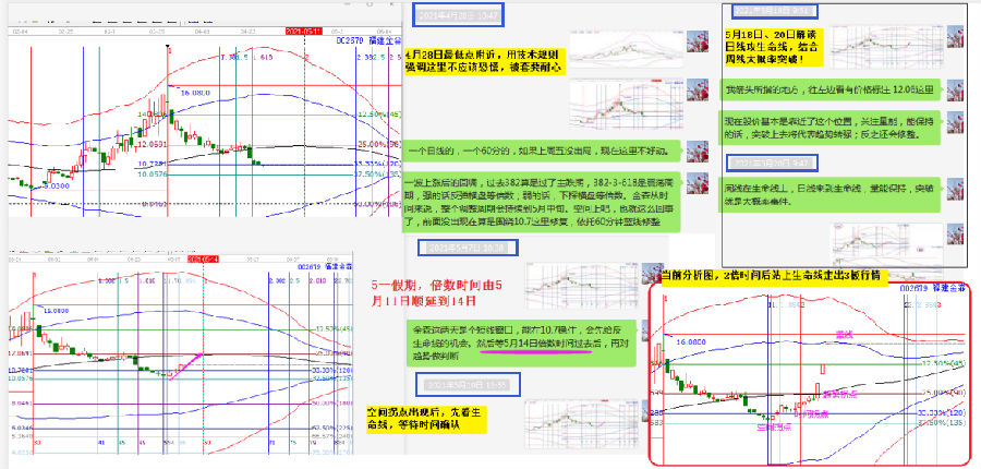 福建金森.png